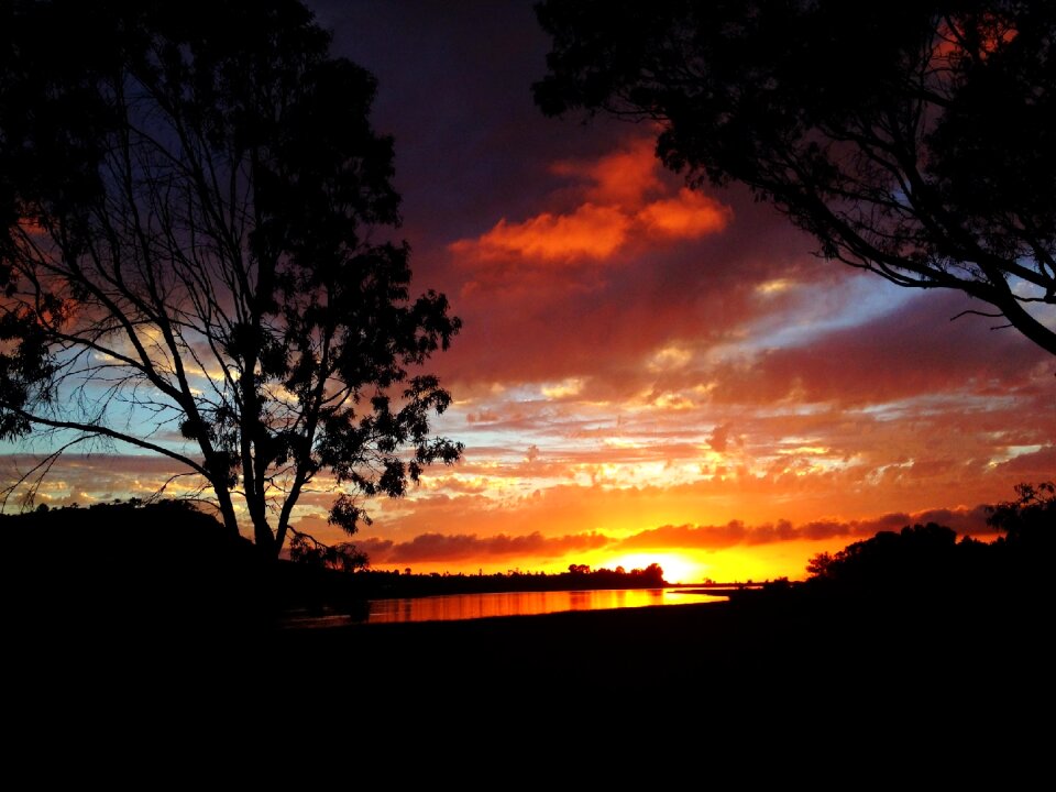 Nature dusk orange