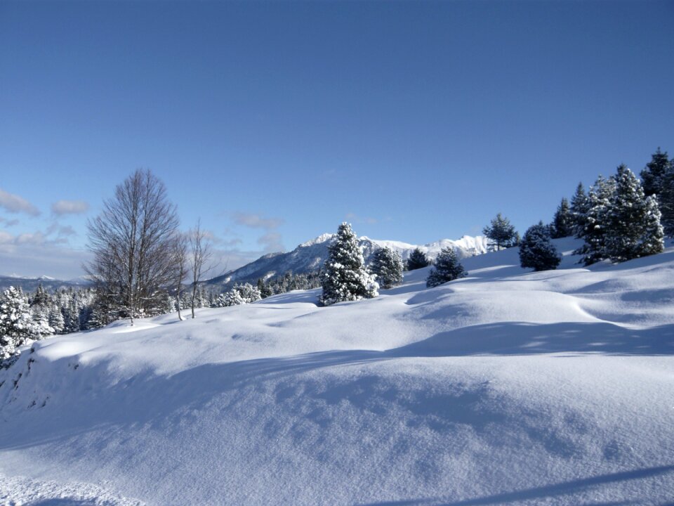Wintry winter alpine