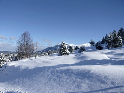 Wintry winter alpine photo