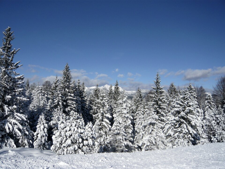 Winter alpine mittenwald