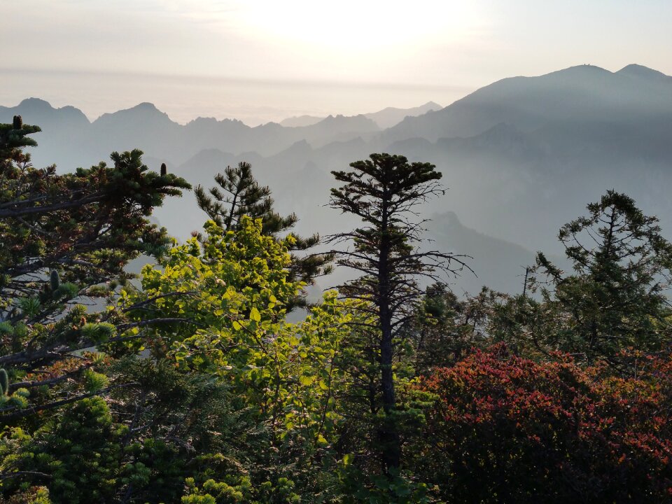 Mountain scenery fog