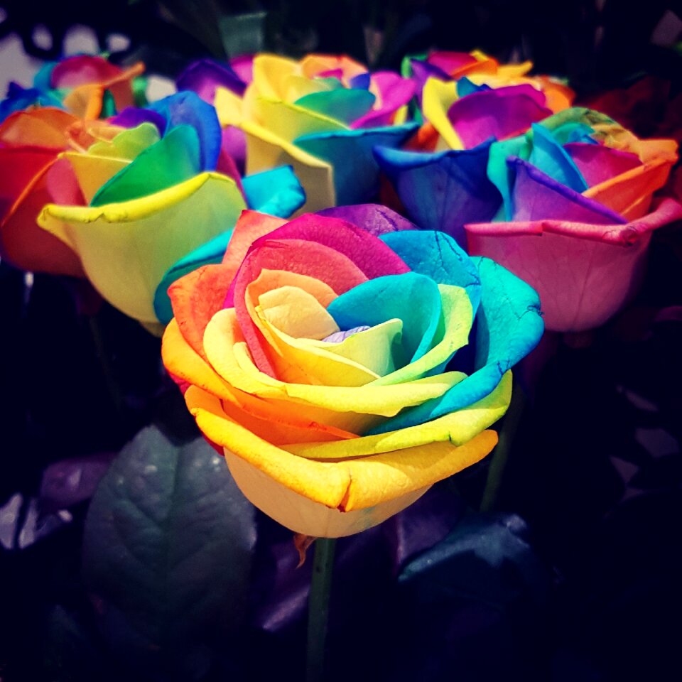 Colours beautiful heaven