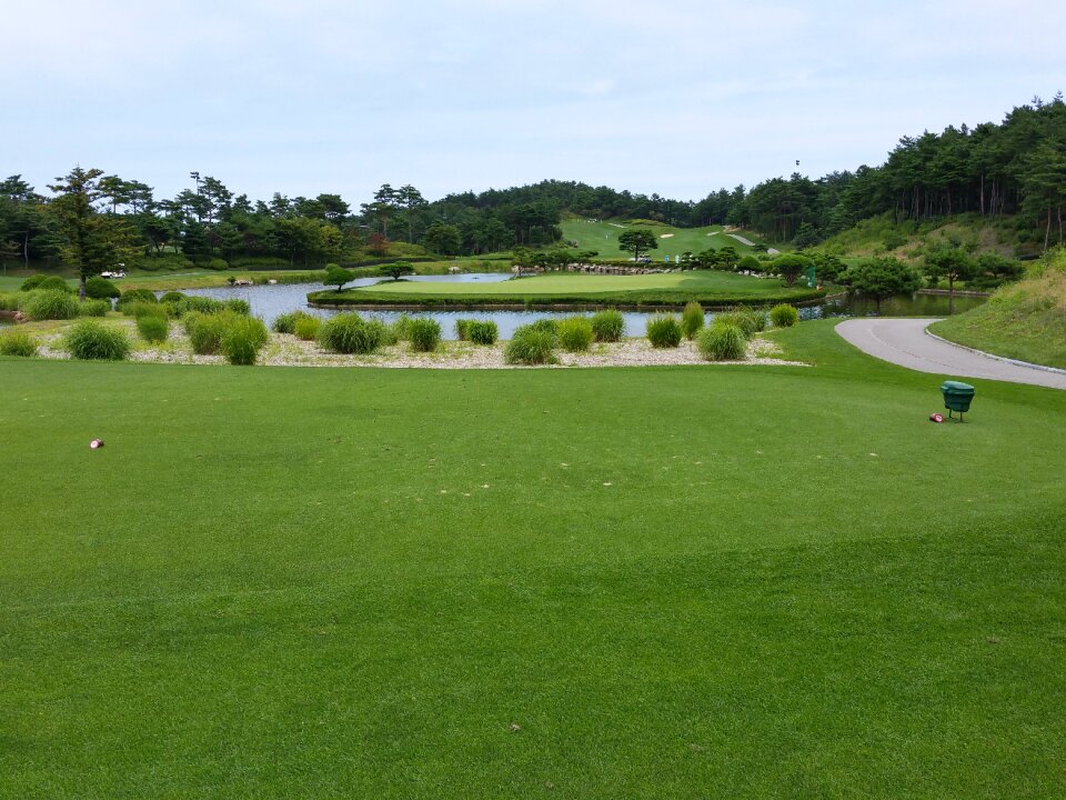 Golf golf course field