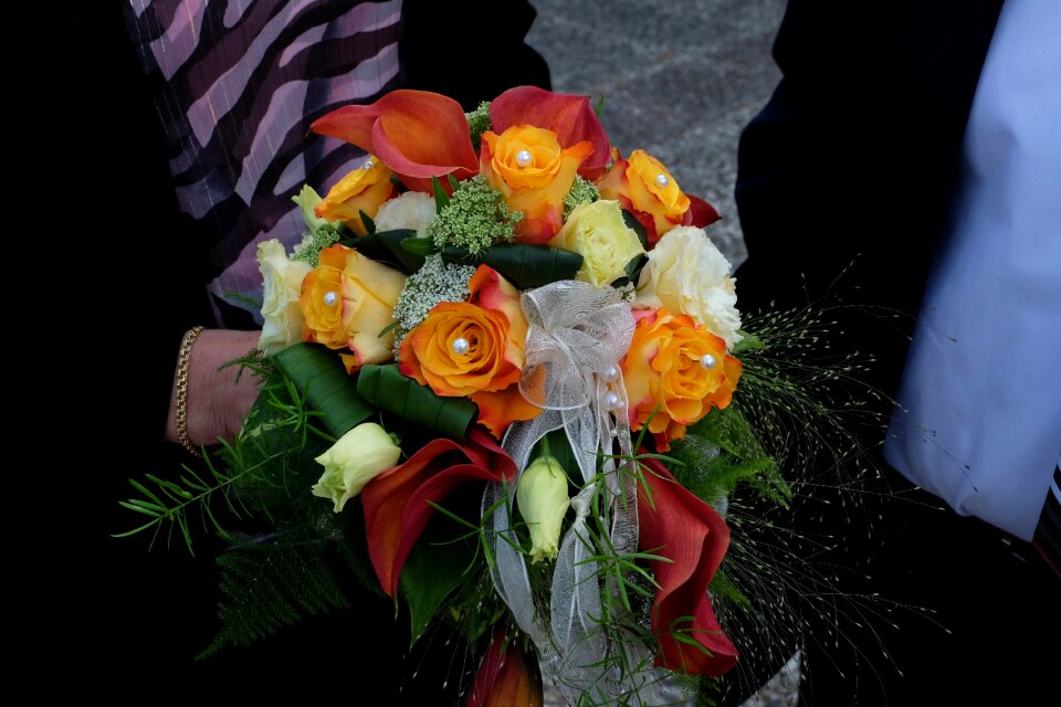 Romantic strauss congratulations
