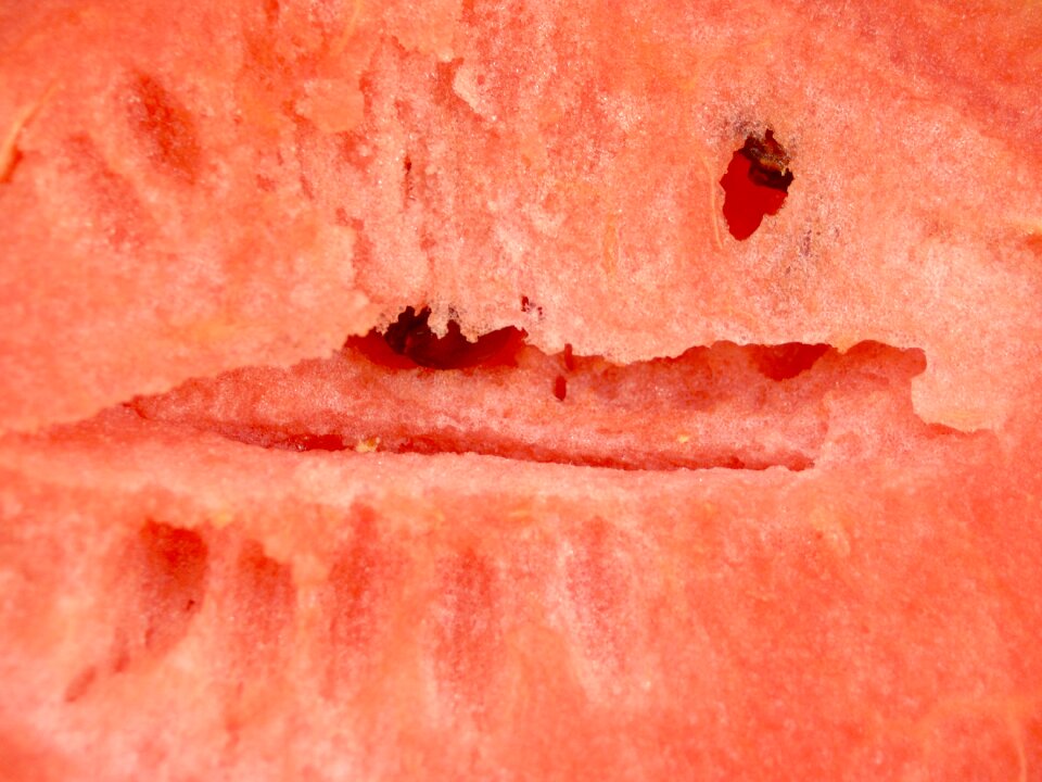 Seeded delicious tropical
