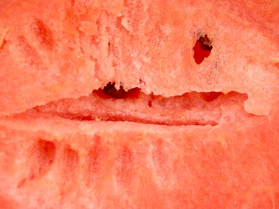 Seeded delicious tropical