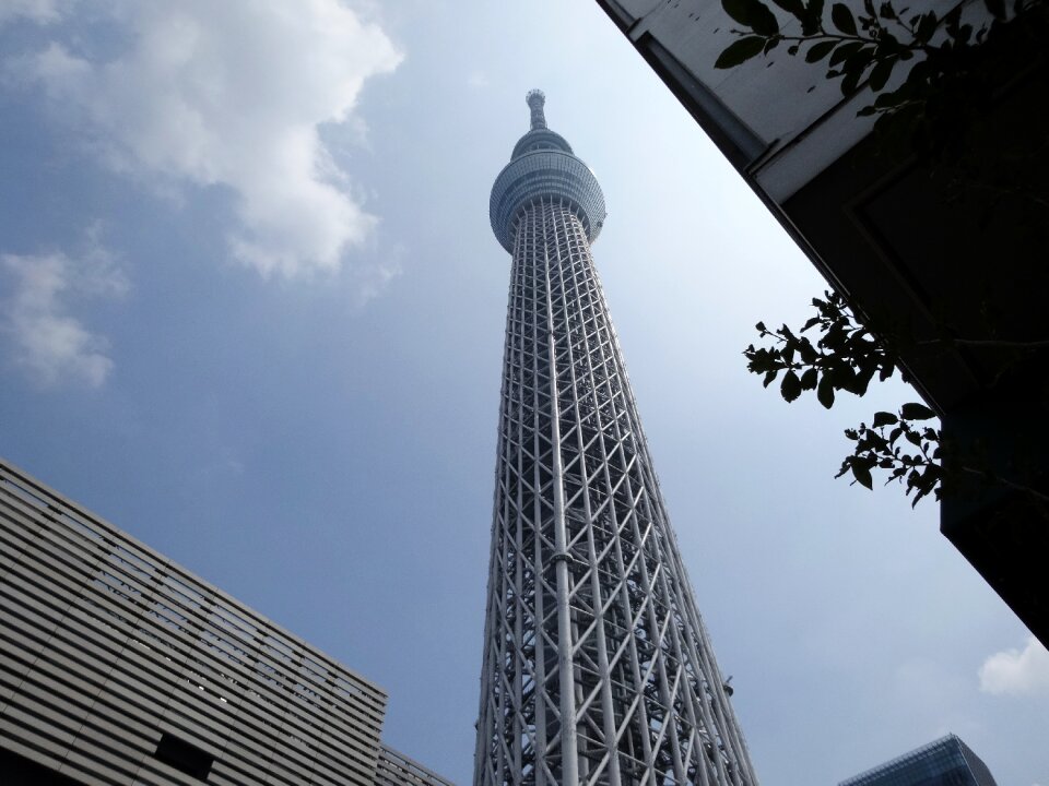 Building city sky
