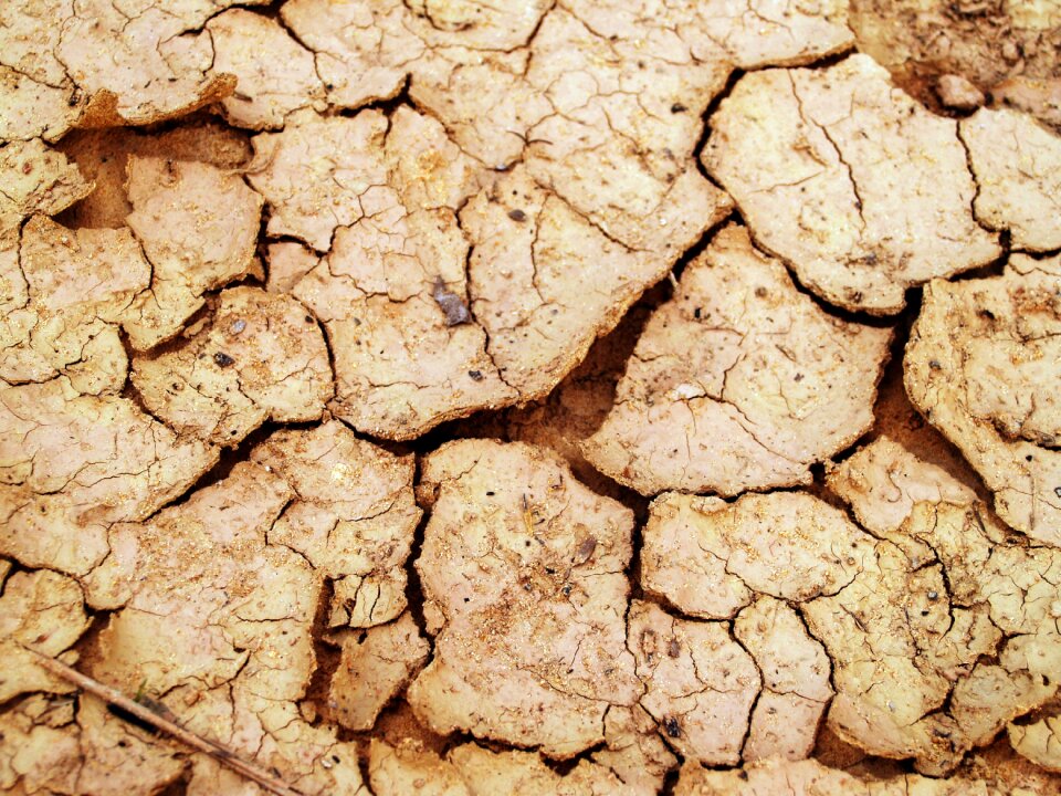 Split crack ecology