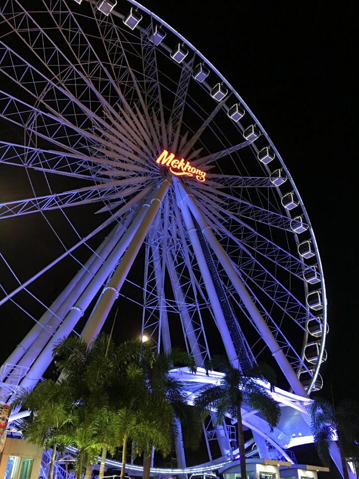 Night holiday