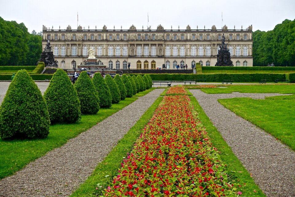 Blooming flower garden spring flowers