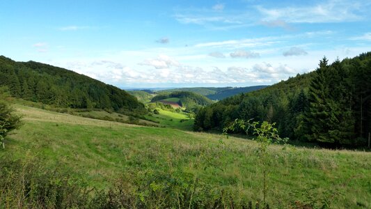 Landscape summer green photo