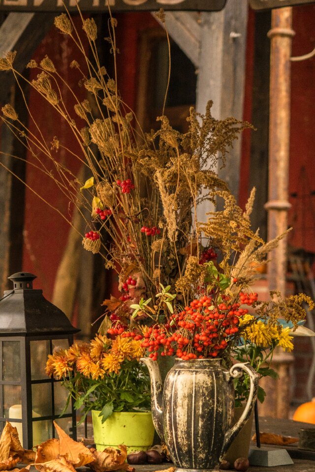 Of course garden romantic