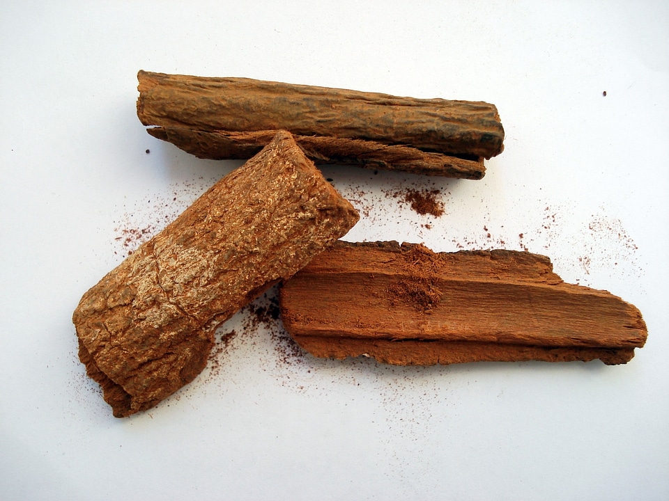 Cinchona quinine countess powder