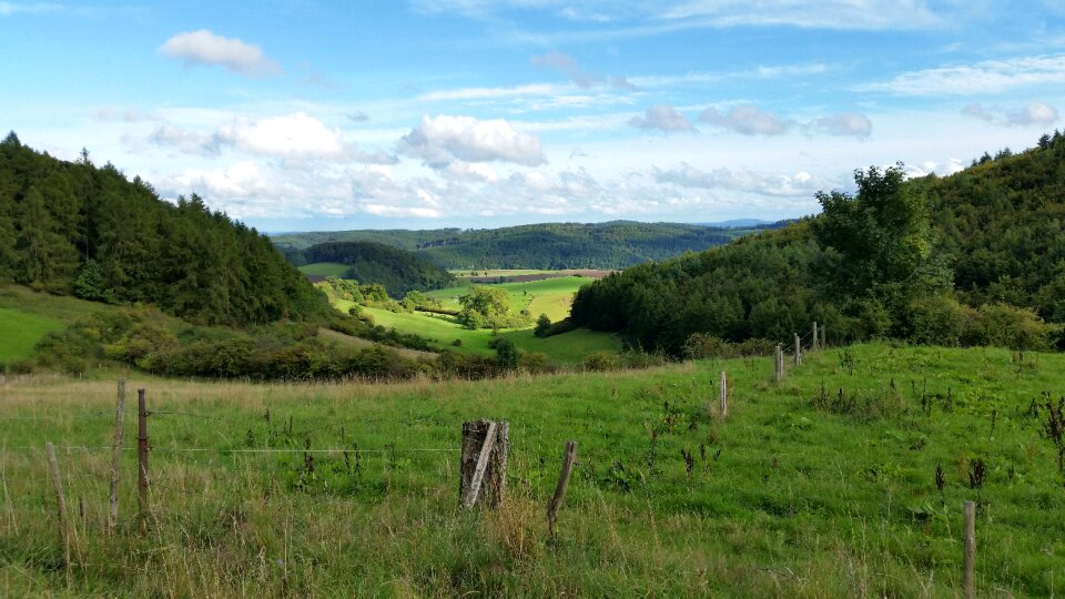 Landscape summer green photo