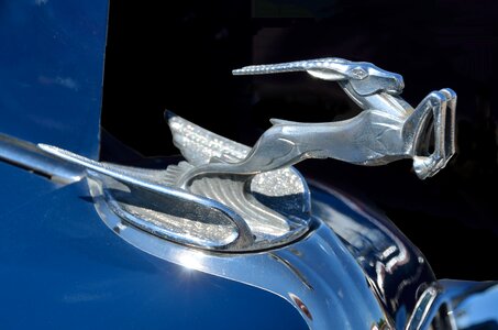 Style ornament car