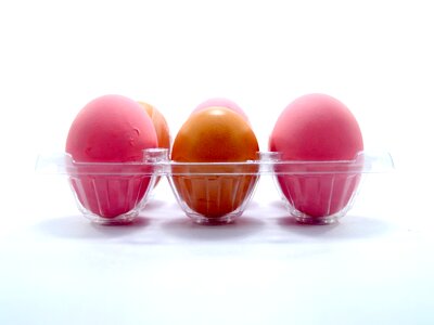 Eggshell cholesterol meal