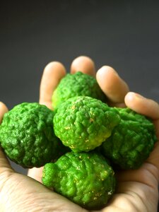 Thailand rough lemon