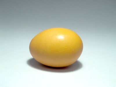 Eggshell cholesterol meal photo