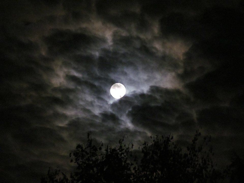 Sky evening sky clouds photo