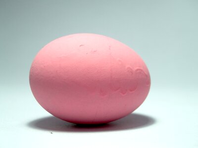 Eggshell cholesterol meal