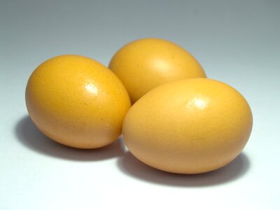 Eggshell cholesterol meal