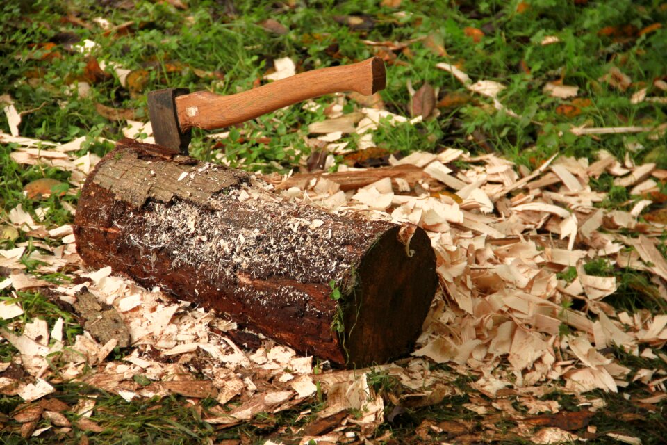 Wood chop ax forest work
