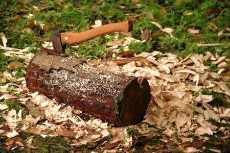 Wood chop ax forest work photo