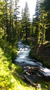 Stream oregon
