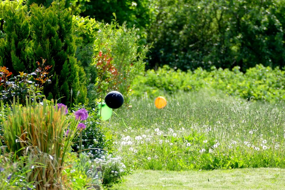 Nature meadow green