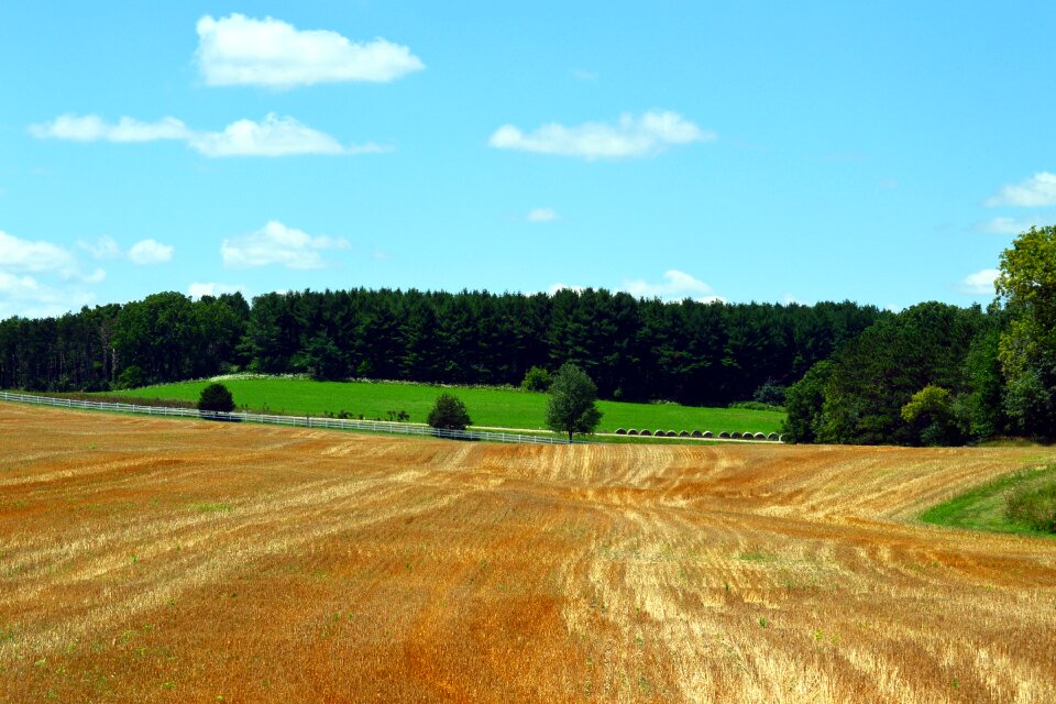 Field agriculture landscape