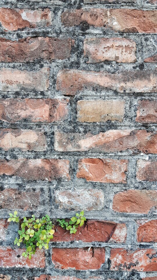 Sassi bricks building