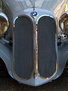 Automotive spotlight horn