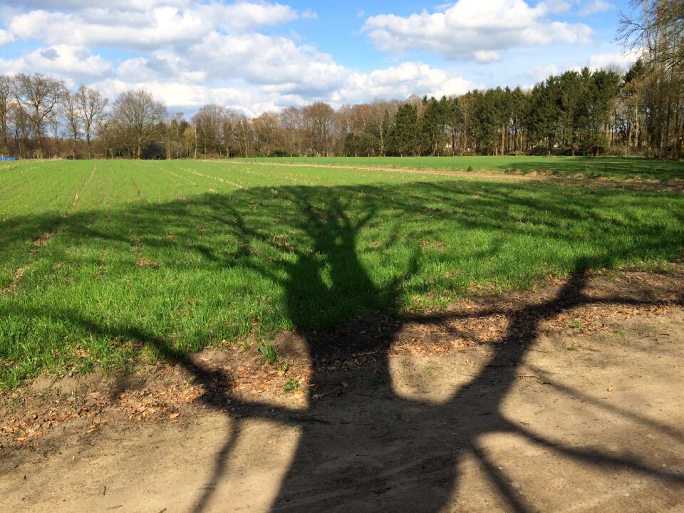 Pasture spring zelhem