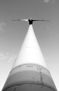 Wing wind wind energy