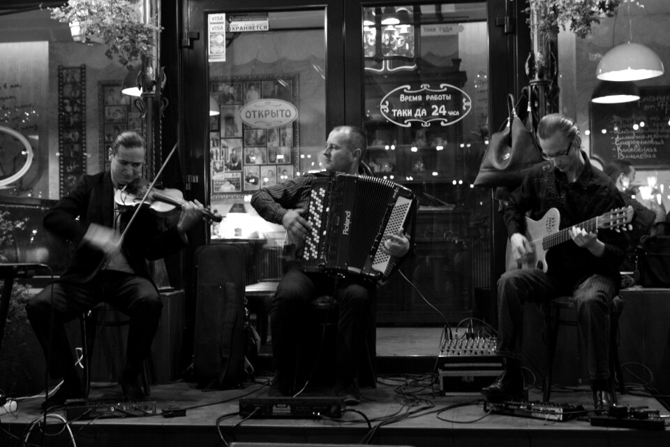 Photo accordion live music
