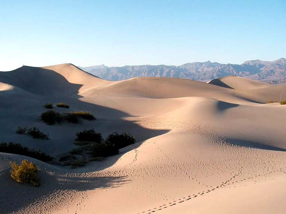 Desert scenic vista