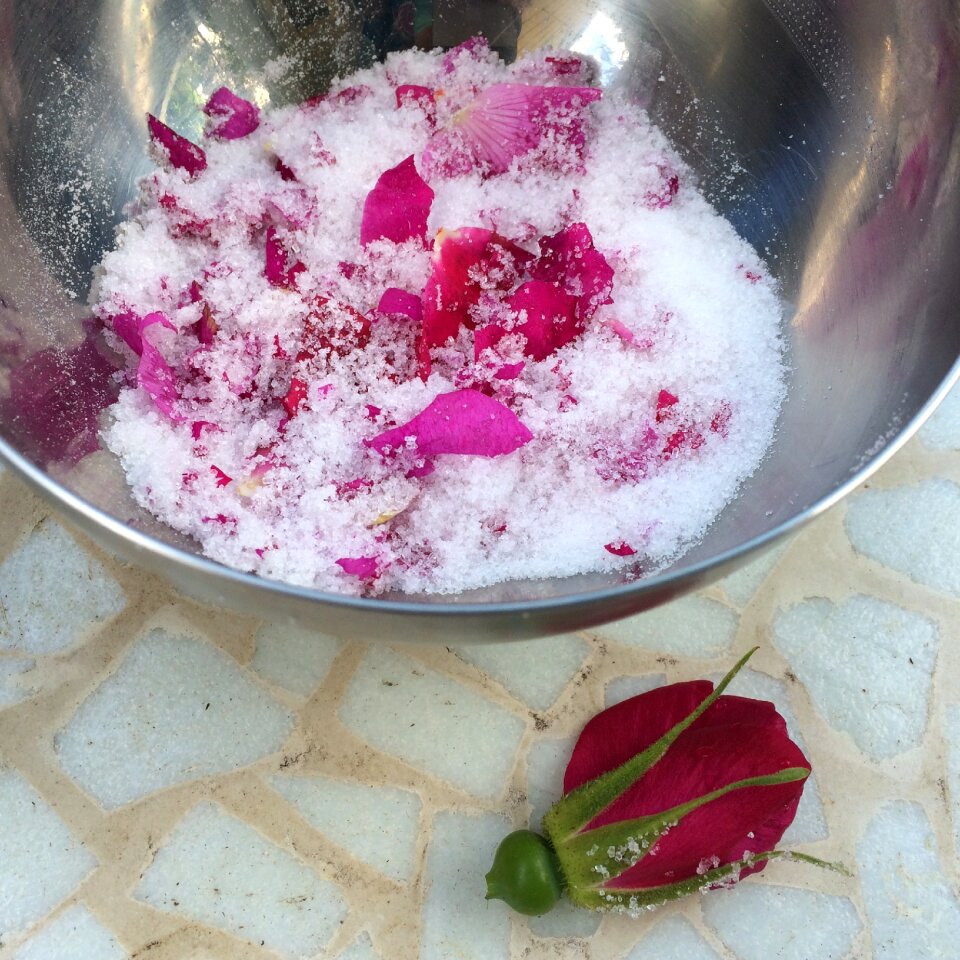 Ross sugar rose sugar roses
