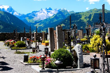 Graves flowers view