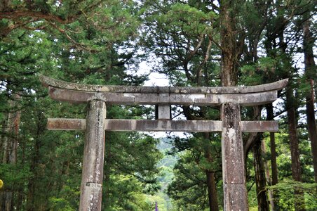 Ancient culture tori