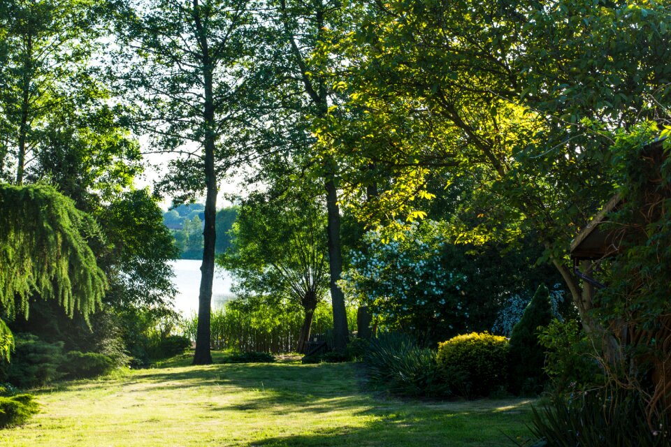 Water nature summer