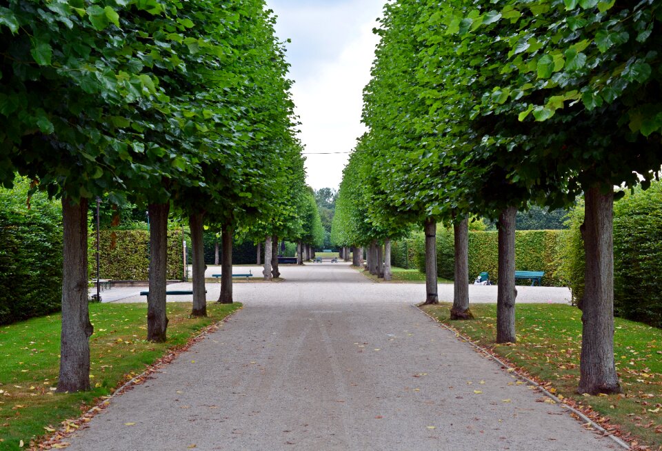 Herrenhäuser gardens hanover plant