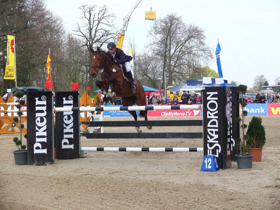 Tournament testing show jumping