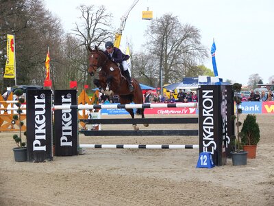 Tournament testing show jumping