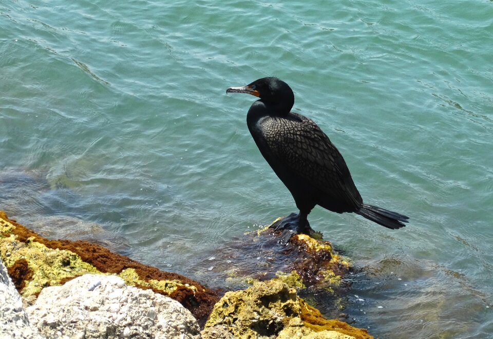 Florida travel nature