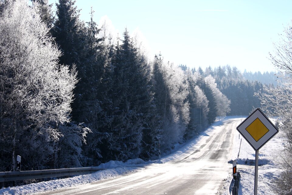 Symbol picture winter forest winter dream