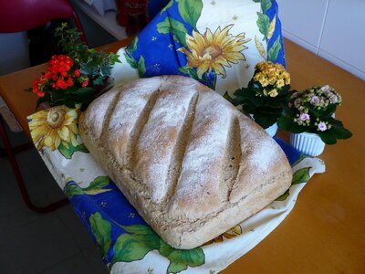 Bread food kitchen