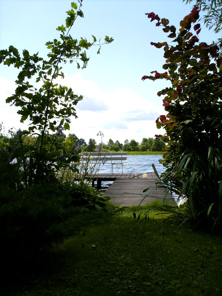 Water nature summer