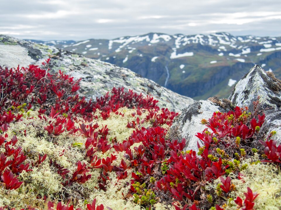 Nature panorama hiking photo