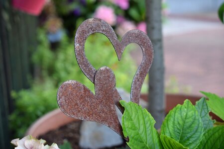 Garden decoration heart shaped metal heart photo