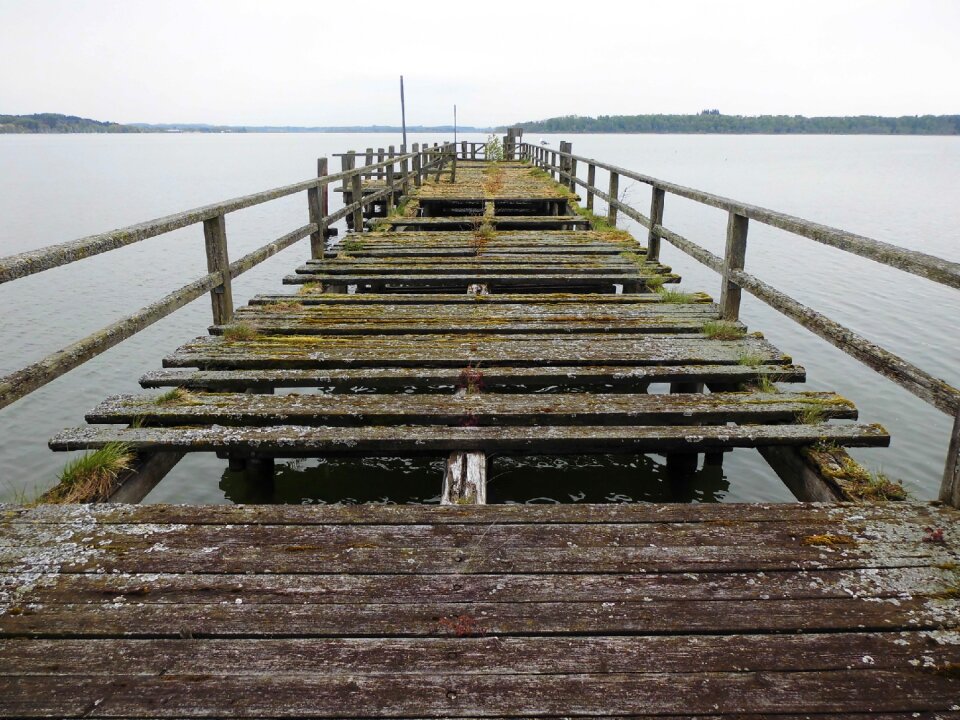 Wooden boards bridge nature